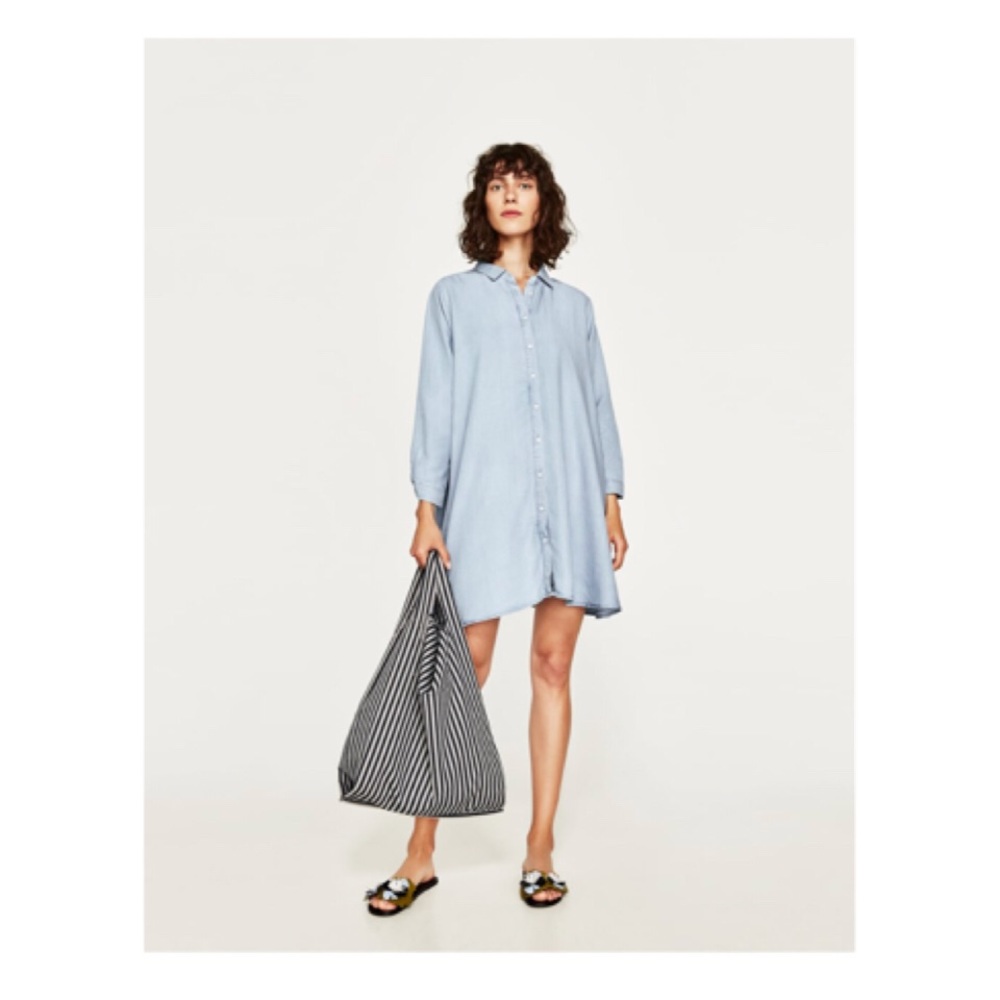 Zara Premium Denim Dress